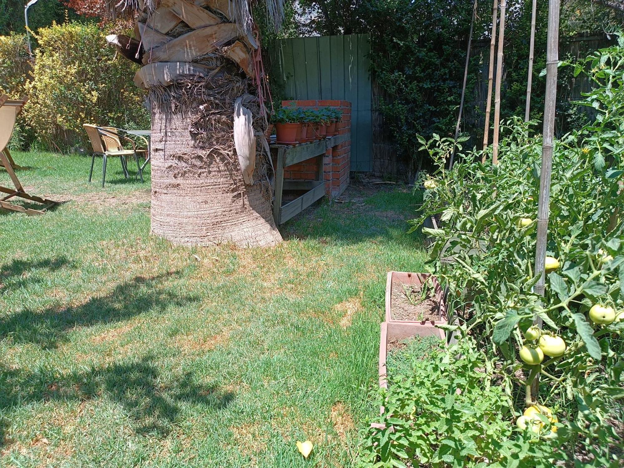 Cabana El Tiempo Es Arte San José de Maipo Εξωτερικό φωτογραφία